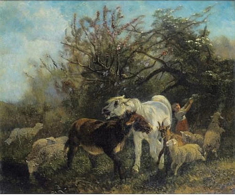 Bambino e pecora in campagna